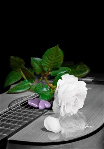 Qui a composé "la Marche turque" ?