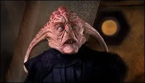 Lui aussi a t vu dans  Sarah Jane Adventures  ! Comment l'appelle-t-on ?
