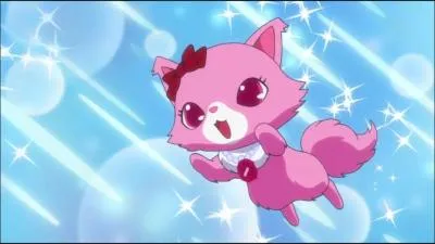 Qui est ce Jewelpet ?