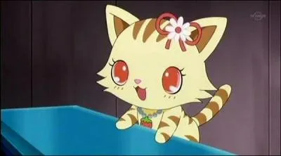Qui est ce Jewelpet ?