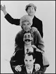 Qui n'est pas un membre des Marx Brothers ?