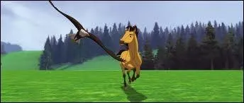 Il coure plus vite que l'aigle :