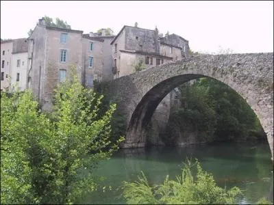 La ville du Vigan o vous verrez une statue du chevalier d'Assas mais aussi une statue de Coluche se situe dans :