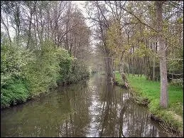 Le Petit Morin est un affluent de la Marne, il est donc un sous-affluent ...