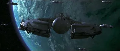 Qui sont les deux premiers personnages que l'on voit dans  Star Wars pisode I - La Menace Fantme  ?