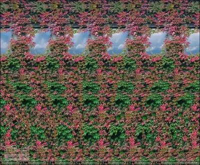 Quel mot lisez-vous ?