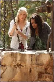 Qu'y avait-il au fond du puits dans lequel tombe Stefan ?