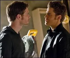 Qu'a vol Stefan  Klaus ?