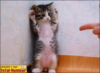 Quelle est la sanction qui n'existe pas au collge ?