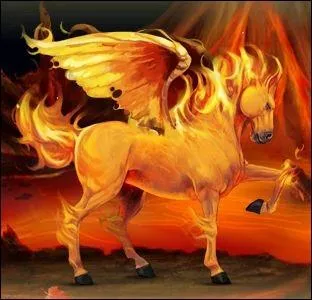 Choisissez la description du cheval :