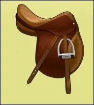 Maintenant il n'y a qu'une r�ponse aux questions ! Ceci est une selle ...