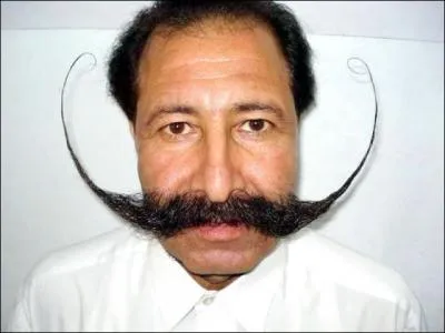 Comment s'appelle ceci ?