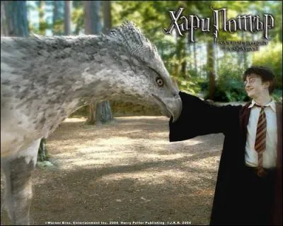 Comment s'appelle l'hippogriffe que monte Harry dans  Harry Potter et l'cole des sorciers  ?