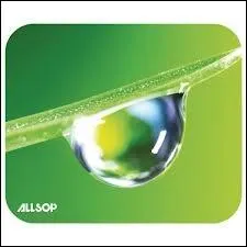 Dans une goutte d'eau, il y a ...