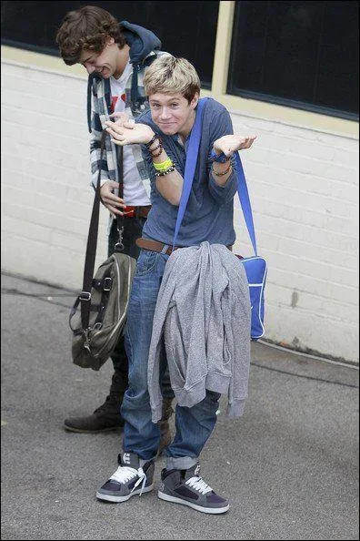 Niall est fan d'un chanteur. Lequel ?