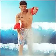 Et enfin, dans quelle chanson (clip) Zayn a des brassards rouges ?