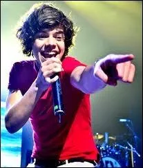 De quel groupe faisait partie Harry avant d'aller  X-Factor ?