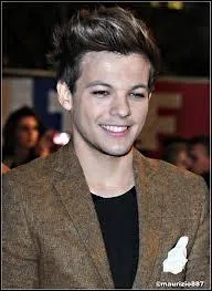 Qu'est-ce que Louis a dit aux NMA 2013 ?