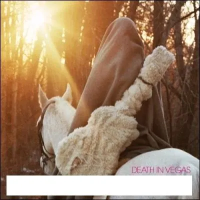 Quel nom porte cet album studio de Death In Vegas ?
