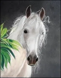 Le Familier de Tara :