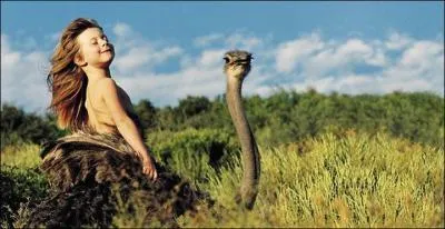 Nous nous trouvons dans un pays o Tippi ne peut monter que sur ...