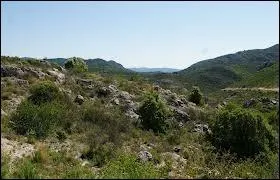 [Paysages] Quelles sont les diffrences entre la garrigue et le maquis ? (plusieurs rponses vraies)