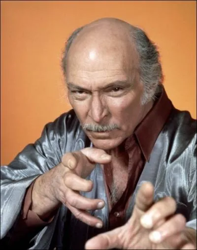 Dans quelle srie tlvise de 1984 pouvait-on voir Lee Van Cleef ?