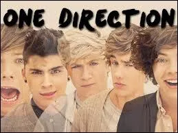 A quel membre du groupe aimerait-il ressembler ?