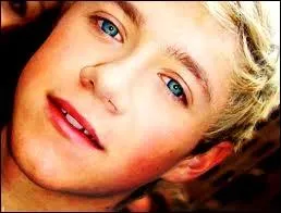 Avec quelle star Niall aimerait-il sortir ?