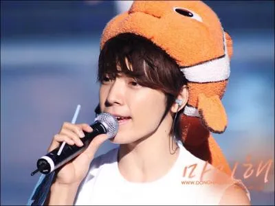 Comment se nomment ses fans ?