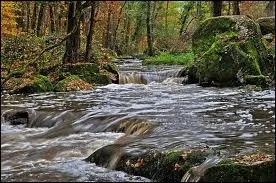 L'Ardour est un affluent ...