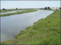 Quel dpartement des Pays-de-la-Loire est travers par l'Auzance ?