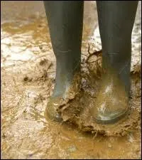 (On ne regarde pas les bottes) i ...