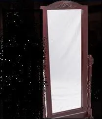 Qui se regarde le plus dans les miroirs ?