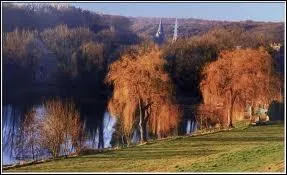 Qui a des origines belges ?