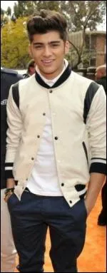 Quelle est la passion de Zayn ?