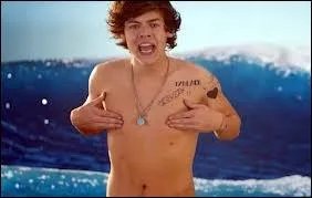 Quelle est la particularit de Harry ?