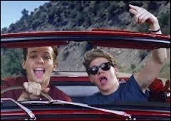 Niall et lui-mme ont le mme rle dans le groupe...