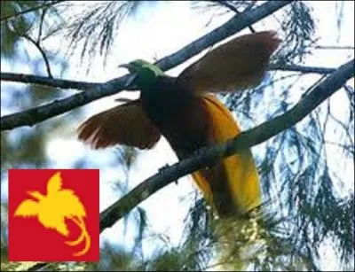 Sur quel drapeau le paradisier ou oiseau de paradis est-il reprsent ?
