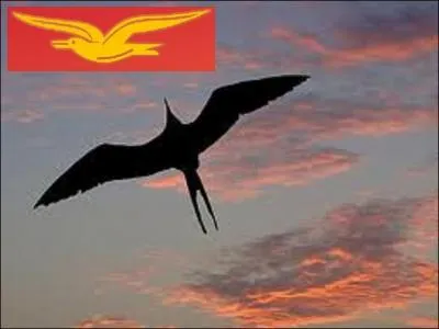 Une frgate survolant le soleil qui surgit des flots de l'ocan Pacifique...