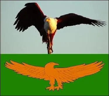 Ce drapeau national adopt en 1964 est domin par le vert de l'agriculture et arbore un aigle aux ailes dployes. Quel pays reprsente-t-il ?