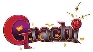 Sur quelles chanes se passe Grachi ?