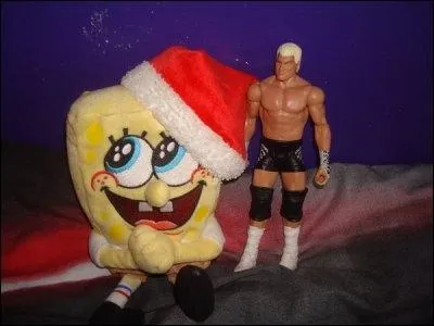 Qui est aux c�t�s de la figurine Dolph Ziggler ?