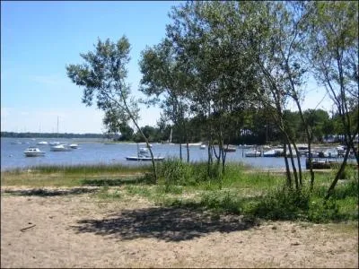 Quelle particularit possde le lac d'Hourtin et de Carcans ?