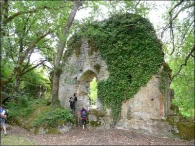 Inattendues dans cette rgion, il existe des gorges sauvages en aval de Villandraut, quel est leur nom ?