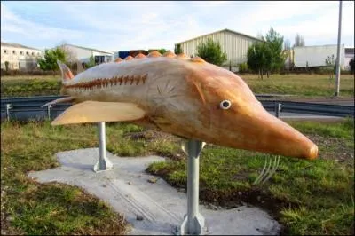 Comment s'appelle l'esturgeon de l'estuaire de la Gironde ?