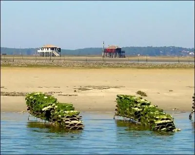 Quelle est cette le situe dans le bassin d'Arcachon, qui fait 300 hectares  mare haute et plus de 3000  mare basse, entoure de parcs ostricoles ?