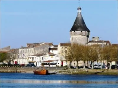 Situe au confluent de l'Isle et de la Dordogne, la ville de Libourne possde un port dont les pierres de son pavage seraient d'origine :