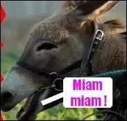 Comment se nomme cette recette berrichonne dans laquelle les oeufs sont pochs dans de la sauce au vin rouge dj rduite ?