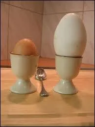 Combien pse environ un oeuf d'oie ?